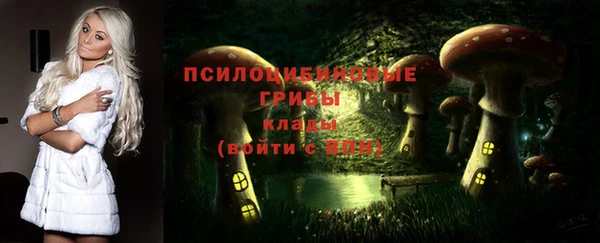 apvp Горно-Алтайск