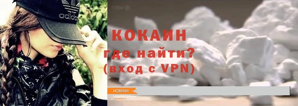 шишки Горнозаводск