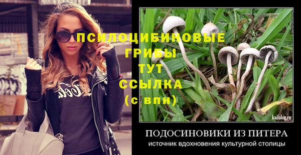 apvp Горно-Алтайск