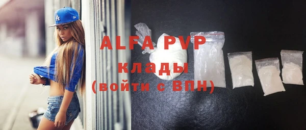 амф Горняк