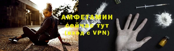 шишки Горнозаводск