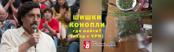 амф Горняк