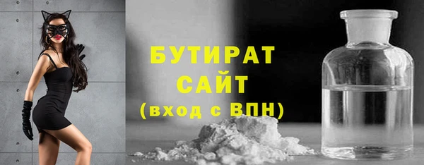 амф Горняк