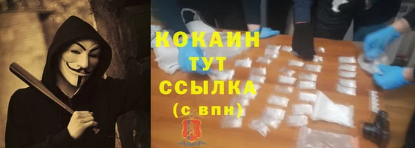 шишки Горнозаводск