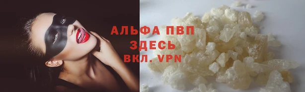 амф Горняк
