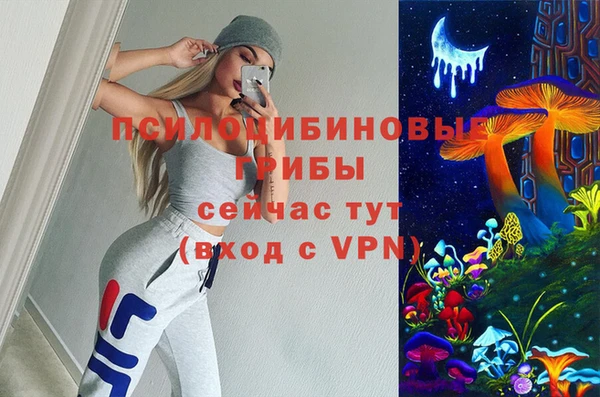 apvp Горно-Алтайск