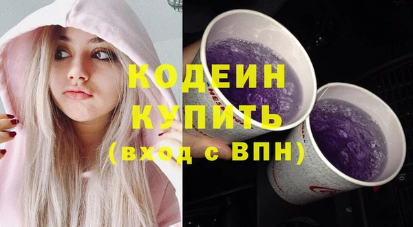 амф Горняк