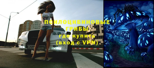 apvp Горно-Алтайск