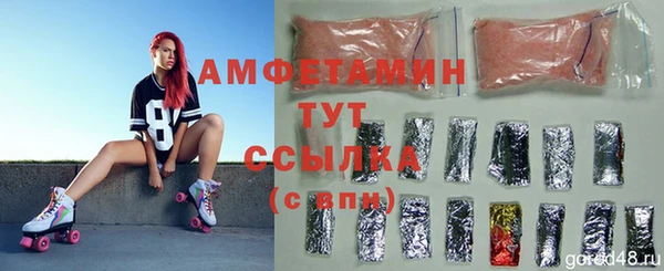 амф Горняк